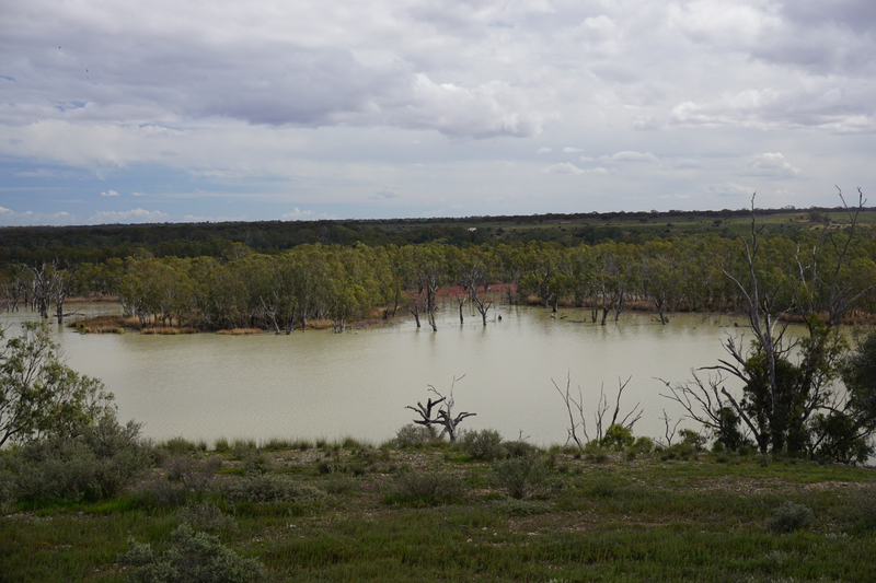 Illustration for article titled Roamin' the Riverland.